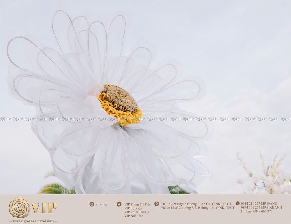 VIP TRANG TRÍ TIỆC - SỰ KIỆN